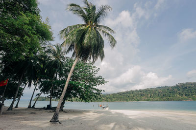 Palm trees on beach against sky