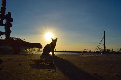Silhouette woman sitting on shore against sky during sunset