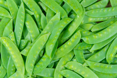 Full frame shot of green leaf