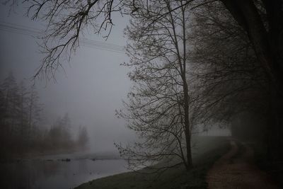 Silhouette bare tree in forest against sky during foggy weather