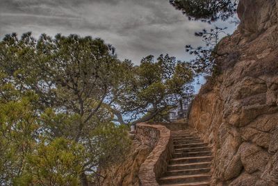 Low angle view of staircase amidst trees against sky