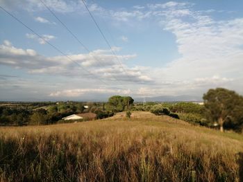 Scenic view of field against sky