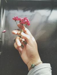 Close-up of woman hand holding red flowers