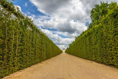 Road amidst trees against sky