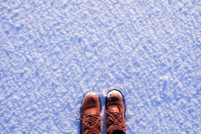 Low section of person standing on snow covered field