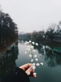 Close-up of hand holding plant against lake