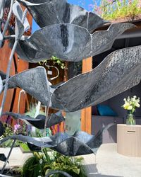 Close-up of potted plants hanging by tree