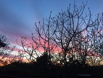 Low angle view of silhouette bare trees against sky