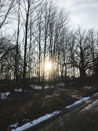 Bare trees on snow covered landscape