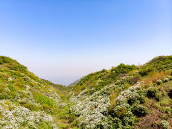 Scenic view of mountains against clear blue sky