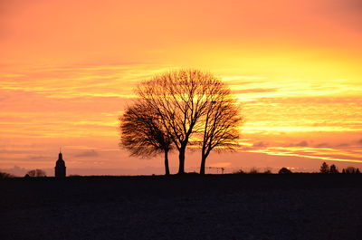 Silhouette bare tree on field against orange sky