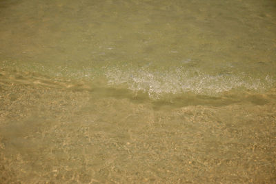 High angle view of beach