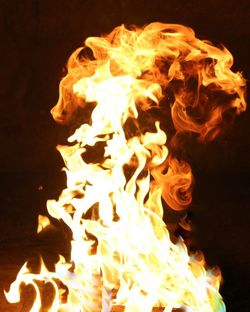Close-up of bonfire against black background
