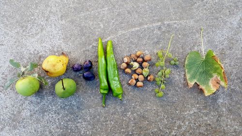 High angle view of fruits growing on plant