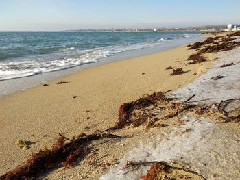 Scenic view of beach against sky