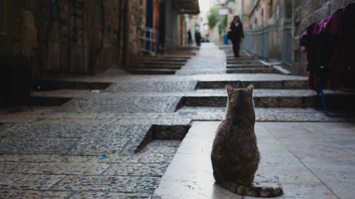 Surface level of narrow street in old town