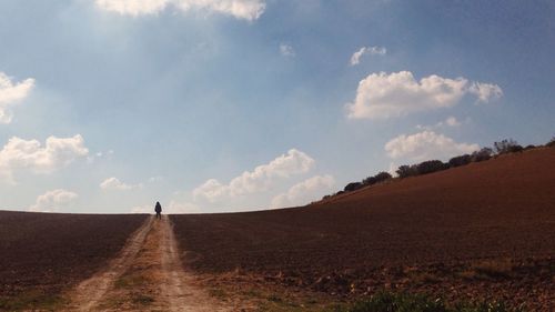 Road passing through field