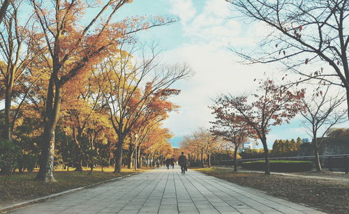 People walking on road in park