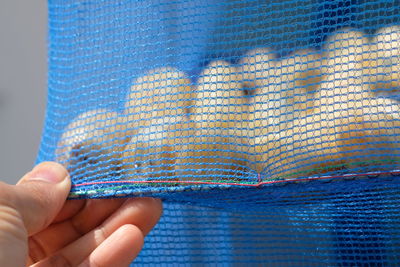 Close-up of person holding net