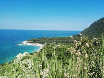 Scenic view of sea against clear blue sky