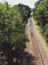 Railway tracks amidst trees against sky