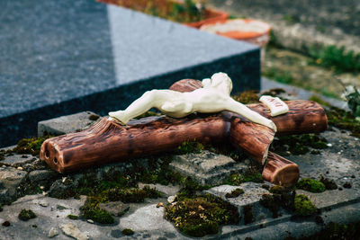 High angle view of bread on wet wood