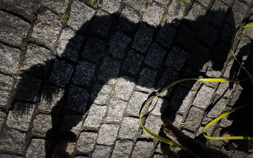 High angle view of shadow on cobblestone street