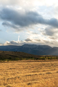 Scenic view of field against sky