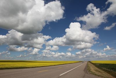 Empty road with trees in background