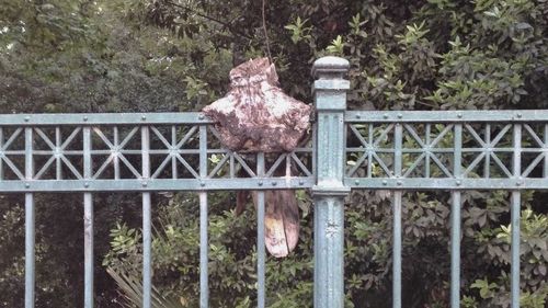 Close-up of metallic structure