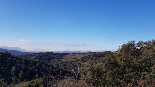 Scenic view of landscape against blue sky