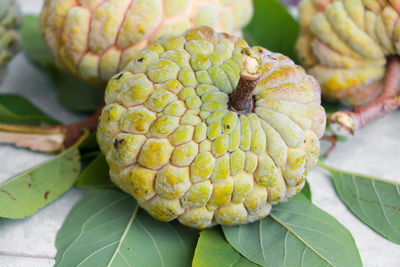 Close-up of fresh fruits on leaves