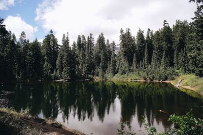 Scenic view of lake in forest against sky