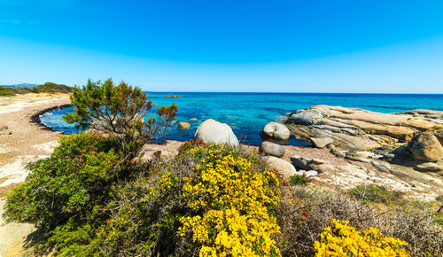 Scenic view of sea and rocks against blue sky