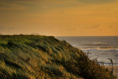 Scenic view of sea against sky during sunset