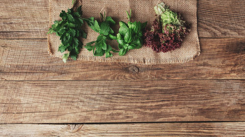 High angle view of leaves on table