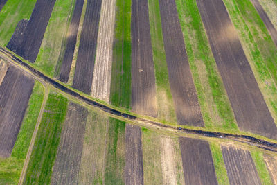 High angle view of agricultural field