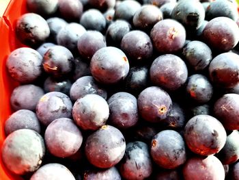 Full frame shot of blueberries