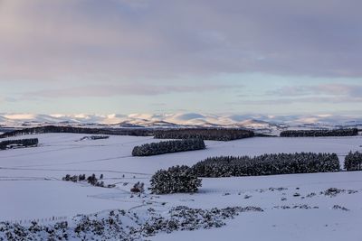 Scenic view of snowcapped field against sky during winter