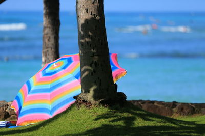 Close-up of multi colored umbrella on beach