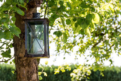 Low angle view of birdhouse on tree