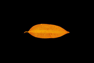 Close-up of illuminated lighting equipment against black background