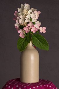 Close-up of pink flowers in vase