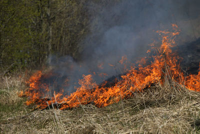 Close-up of bonfire