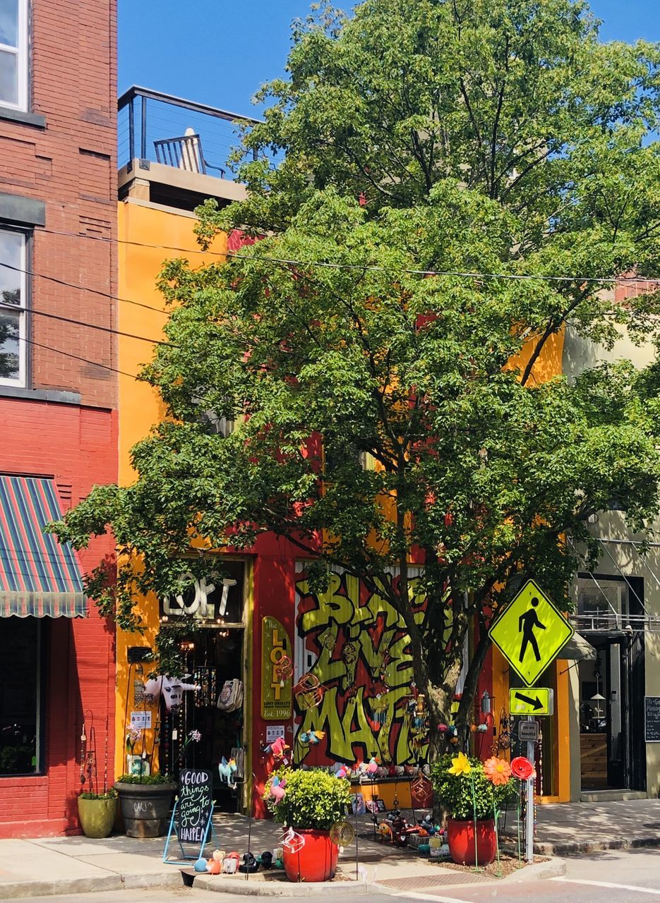 architecture, building exterior, plant, neighbourhood, tree, built structure, city, building, town, nature, street, urban area, flower, day, downtown, road, outdoors, no people, house, residential district, growth, sunlight, transportation, footpath