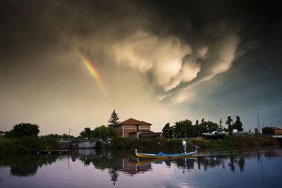 Reflection of trees in water