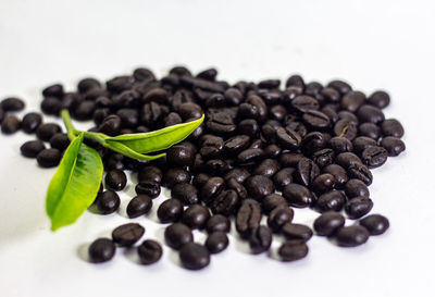 High angle view of roasted coffee beans on table