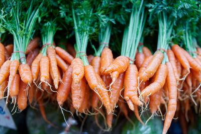 Bunch of fresh carrots for sale at market