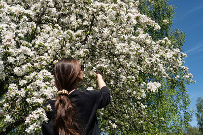 Rear view of woman with long hair against blooming apple tree