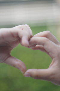 Close-up of hands on plant